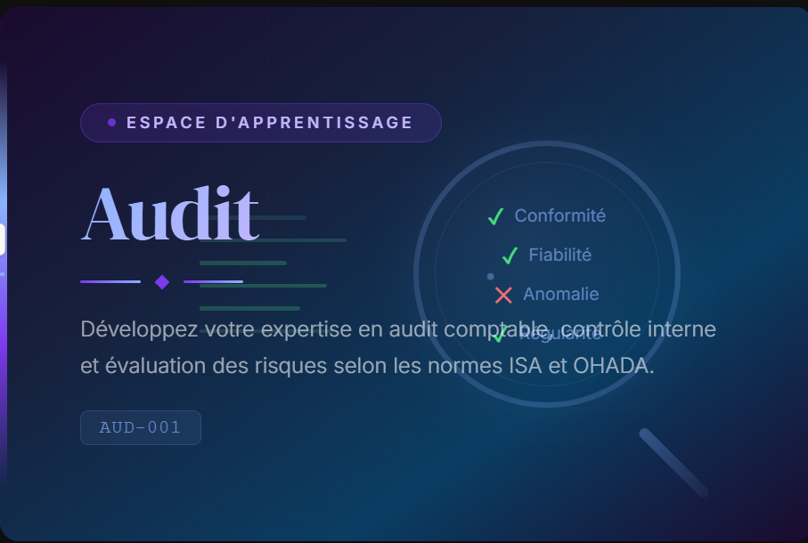 Développer votre expertise en audit comptable, financier, contrôle interne et évaluation des risques